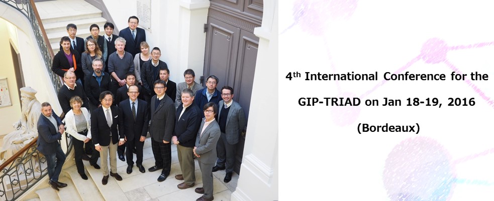 4th International Conference for the GIP-TRIAD on Jan 18-19, 2016
 (Bordeaux)
